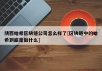 陕西哈希区块链公司怎么样了[区块链中的哈希到底是做什么]